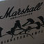 Unboxing Marshall AFD100